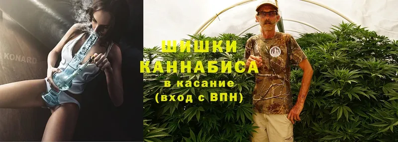 Конопля THC 21%  это клад  Михайловск 